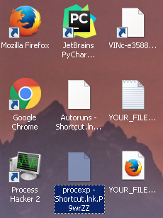 mischa_files_after_encryption